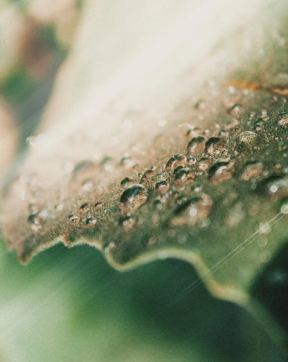 ADVANCED MICELLAR CLEANSING WATER